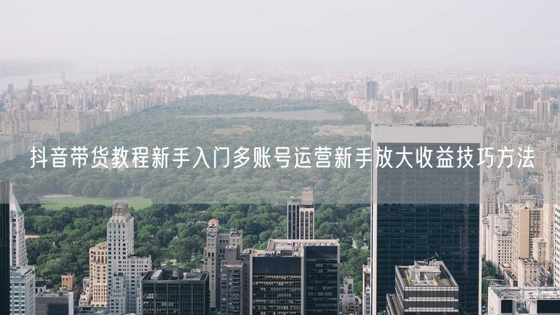 抖音带货教程新手入门多账号运营新手放大收益技巧方法