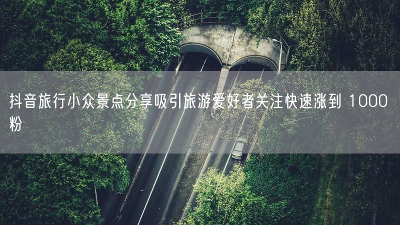 抖音旅行小众景点分享吸引旅游爱好者关注快速涨到 1000 粉