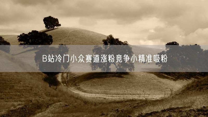 B站冷门小众赛道涨粉竞争小精准吸粉