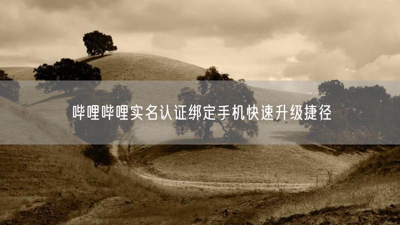 哔哩哔哩实名认证绑定手机快速升级捷径