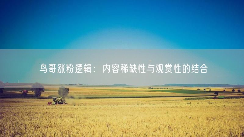 鸟哥涨粉逻辑：内容稀缺性与观赏性的结合