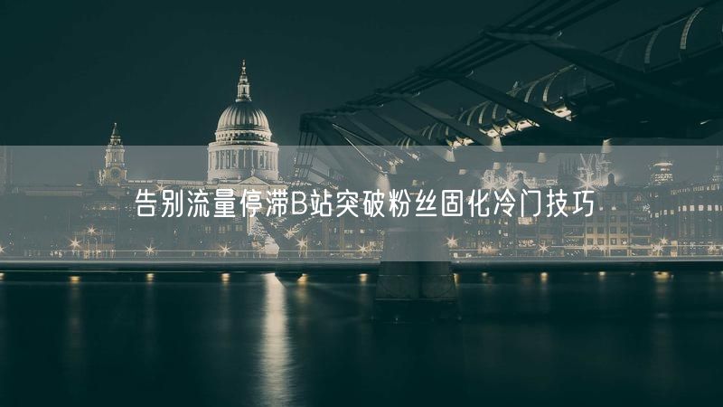 告别流量停滞B站突破粉丝固化冷门技巧