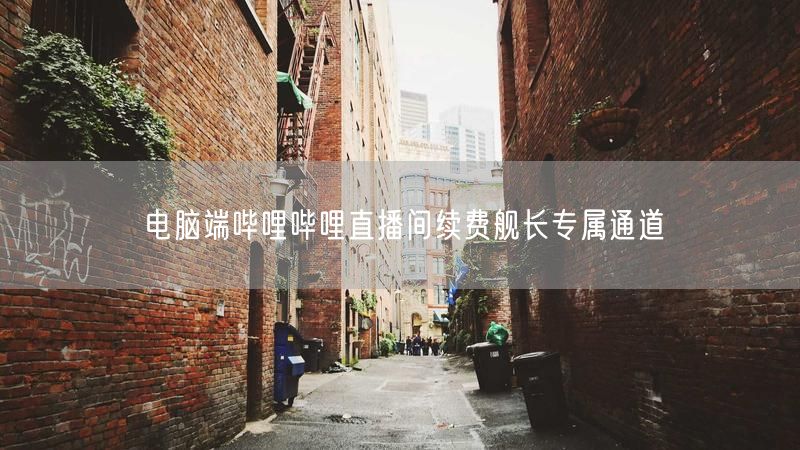 电脑端哔哩哔哩直播间续费舰长专属通道