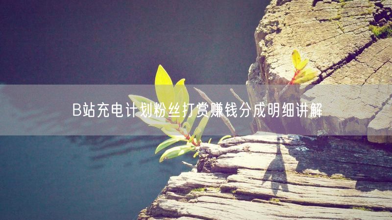 B站充电计划粉丝打赏赚钱分成明细讲解