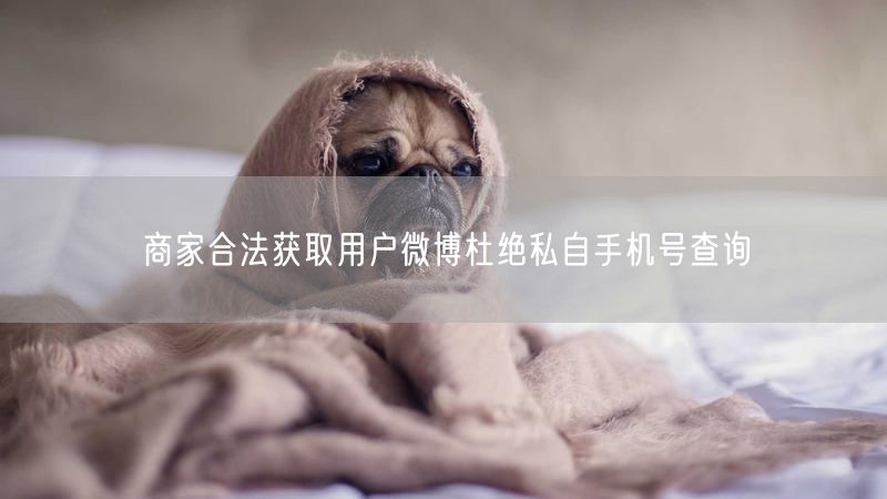 商家合法获取用户微博杜绝私自手机号查询