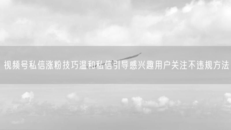 视频号私信涨粉技巧温和私信引导感兴趣用户关注不违规方法
