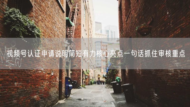 视频号认证申请说明简短有力核心亮点一句话抓住审核重点