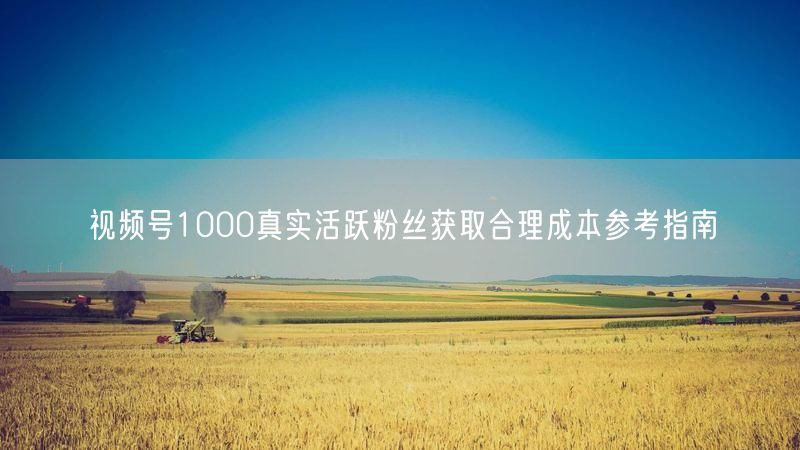 视频号1000真实活跃粉丝获取合理成本参考指南