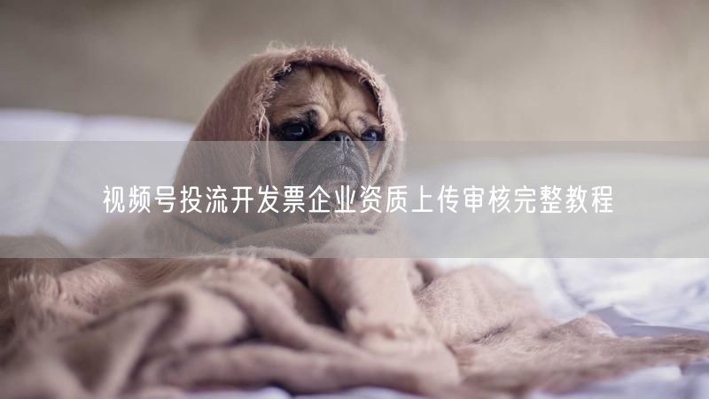 视频号投流开发票企业资质上传审核完整教程