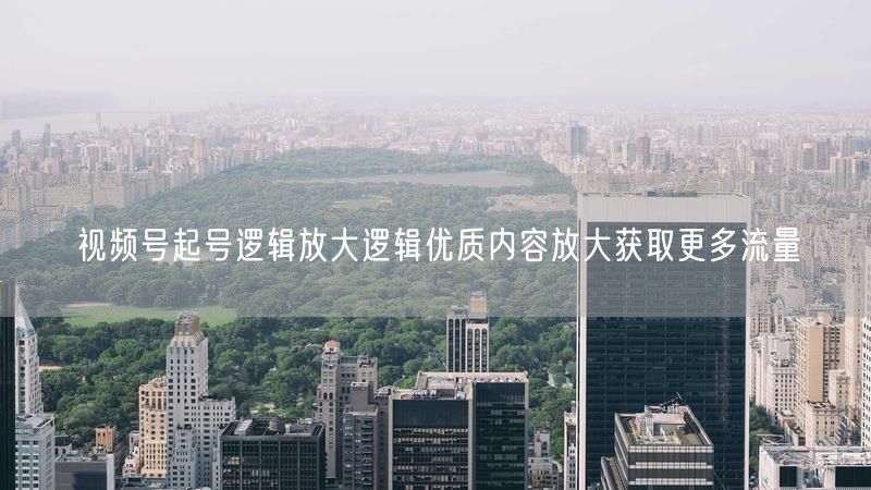 视频号起号逻辑放大逻辑优质内容放大获取更多流量