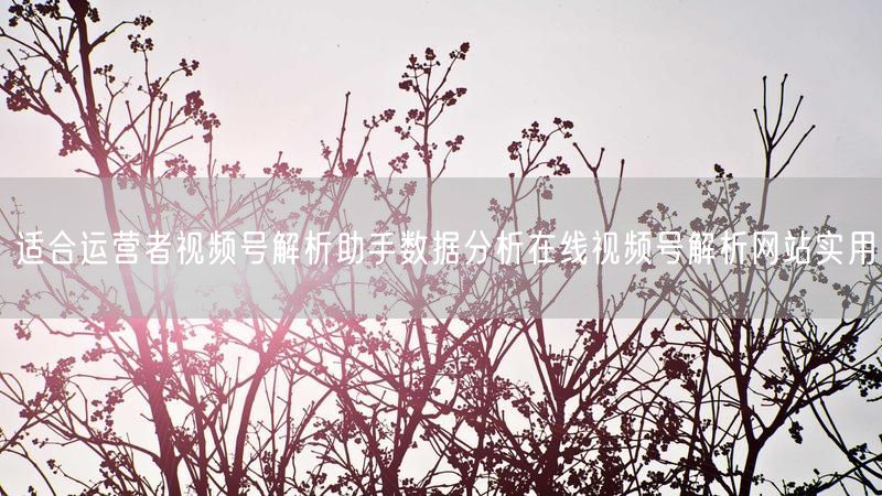 适合运营者视频号解析助手数据分析在线视频号解析网站实用