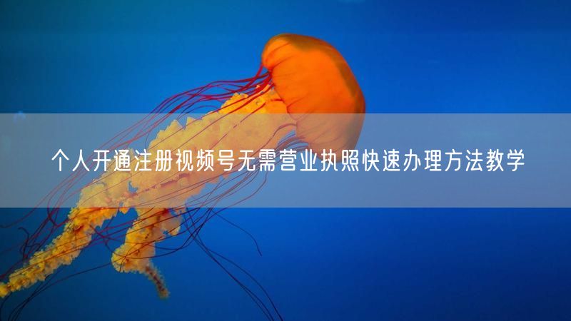 个人开通注册视频号无需营业执照快速办理方法教学