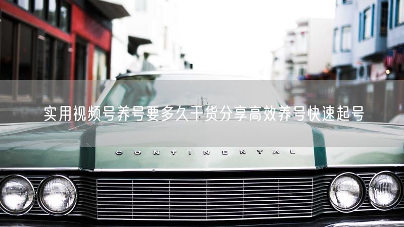 实用视频号养号要多久干货分享高效养号快速起号