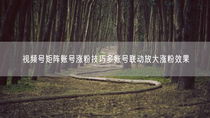 视频号矩阵账号涨粉技巧多账号联动放大涨粉效果