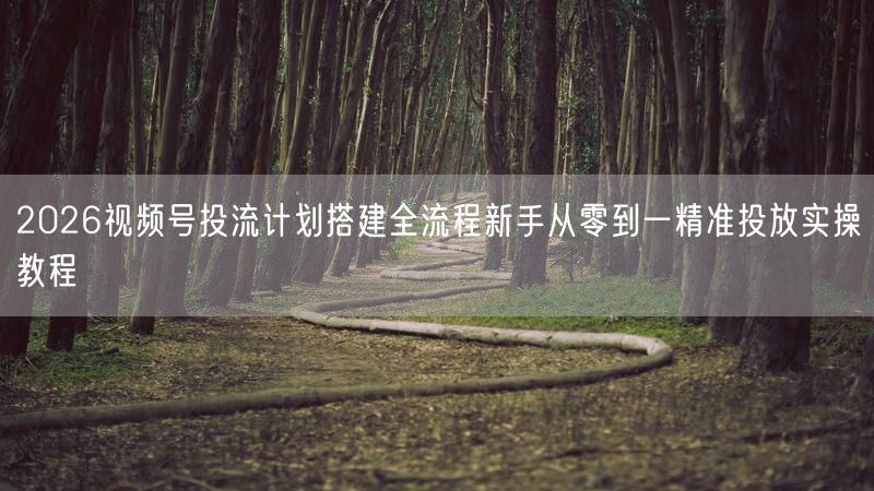 2026视频号投流计划搭建全流程新手从零到一精准投放实操教程