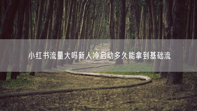 小红书流量大吗新人冷启动多久能拿到基础流