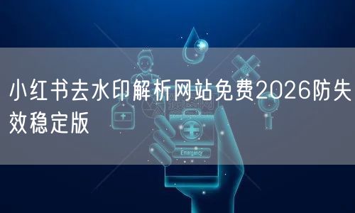 小红书去水印解析网站免费2026防失效稳定版