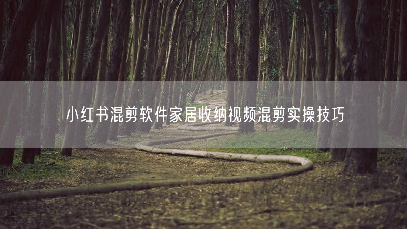 小红书混剪软件家居收纳视频混剪实操技巧