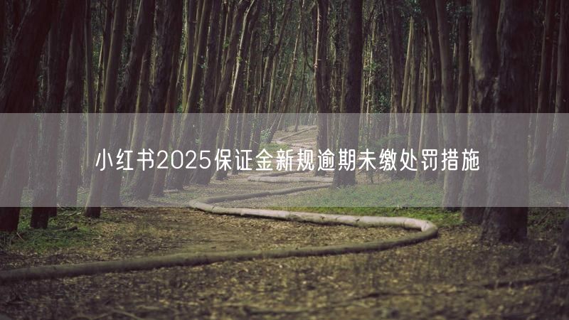 小红书2025保证金新规逾期未缴处罚措施