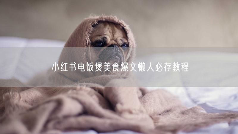 小红书电饭煲美食爆文懒人必存教程