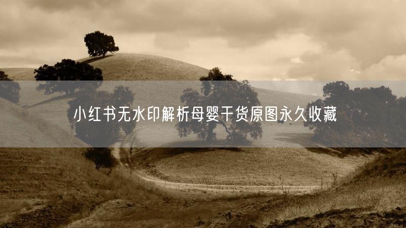 小红书无水印解析母婴干货原图永久收藏