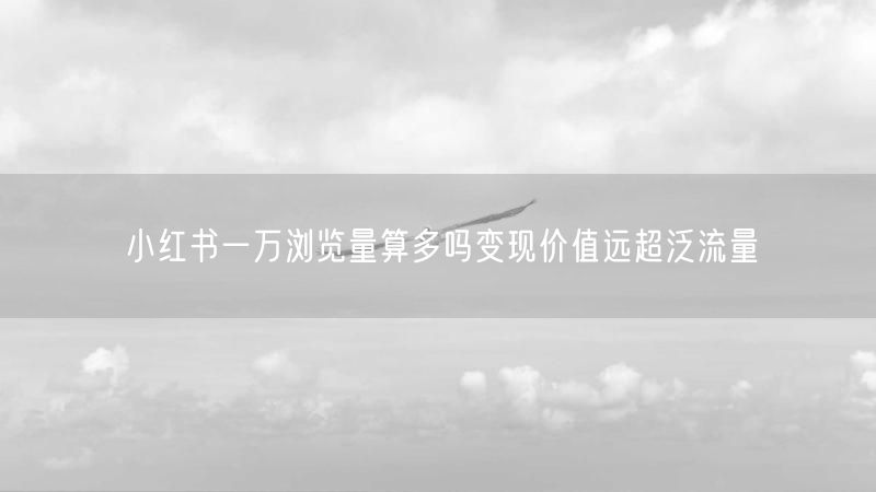 小红书一万浏览量算多吗变现价值远超泛流量