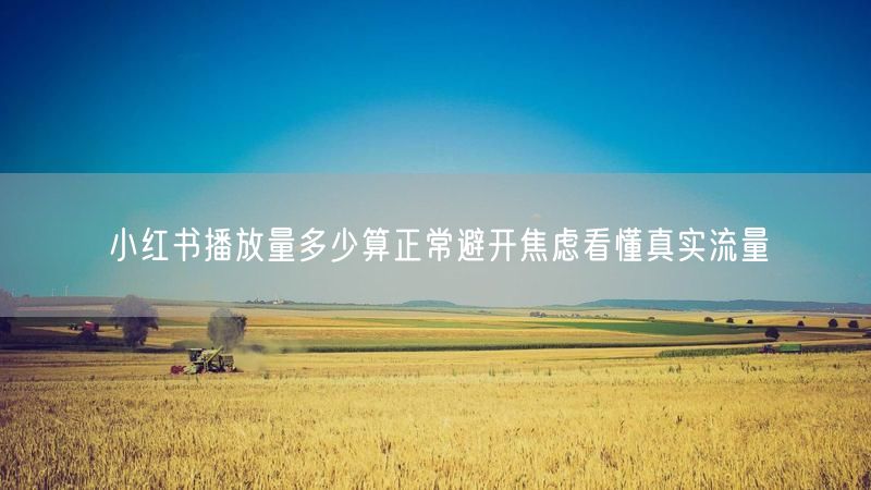小红书播放量多少算正常避开焦虑看懂真实流量