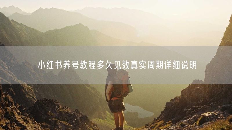 小红书养号教程多久见效真实周期详细说明