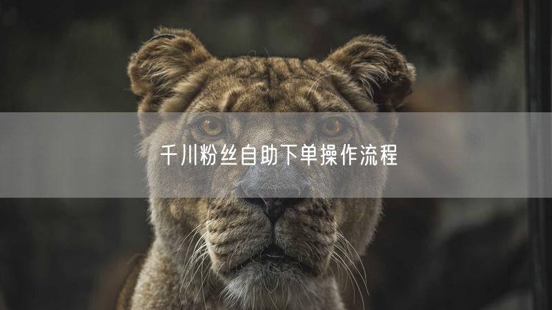 千川粉丝自助下单操作流程