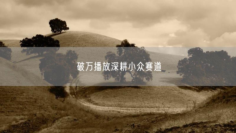 破万播放深耕小众赛道