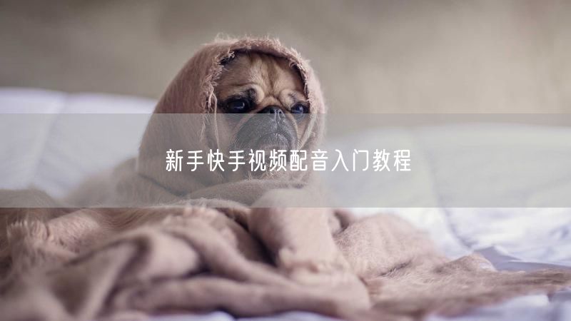 新手快手视频配音入门教程