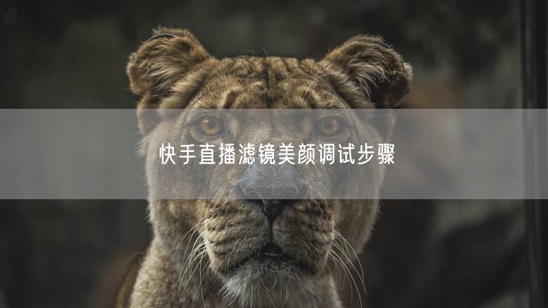 快手直播滤镜美颜调试步骤