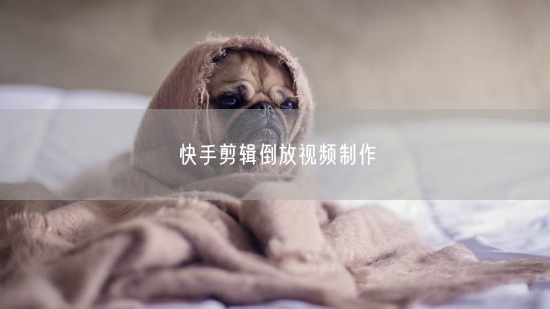 快手剪辑倒放视频制作