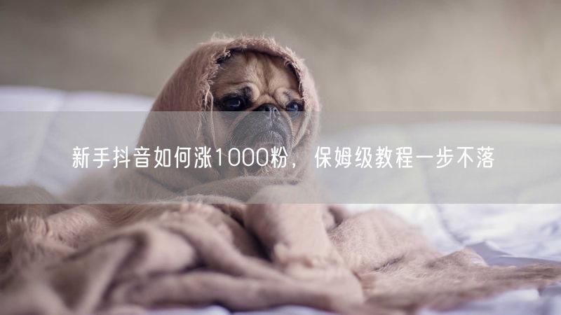 新手抖音如何涨1000粉，保姆级教程一步不落