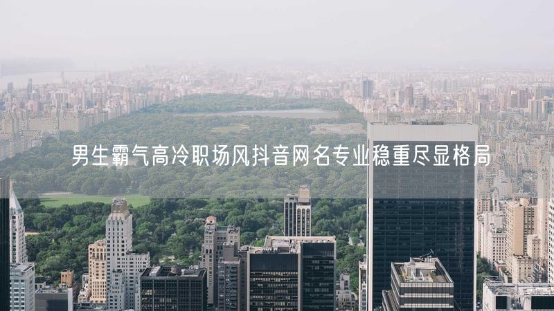 男生霸气高冷职场风抖音网名专业稳重尽显格局