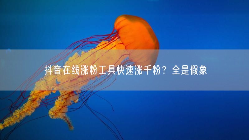 抖音在线涨粉工具快速涨千粉？全是假象