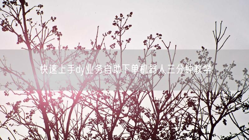 快速上手dy业务自助下单机器人三分钟教学