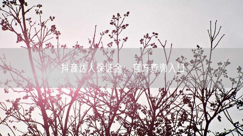 抖音达人保证金：官方查询入口