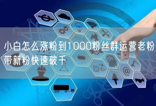 小白怎么涨粉到1000粉丝群运营老粉带新粉快速破千