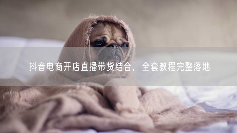 抖音电商开店直播带货结合，全套教程完整落地